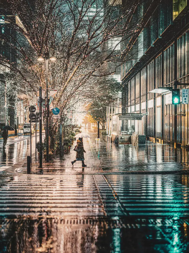 Fujii, Yuzo: Iluminaciones de invierno de Tokio