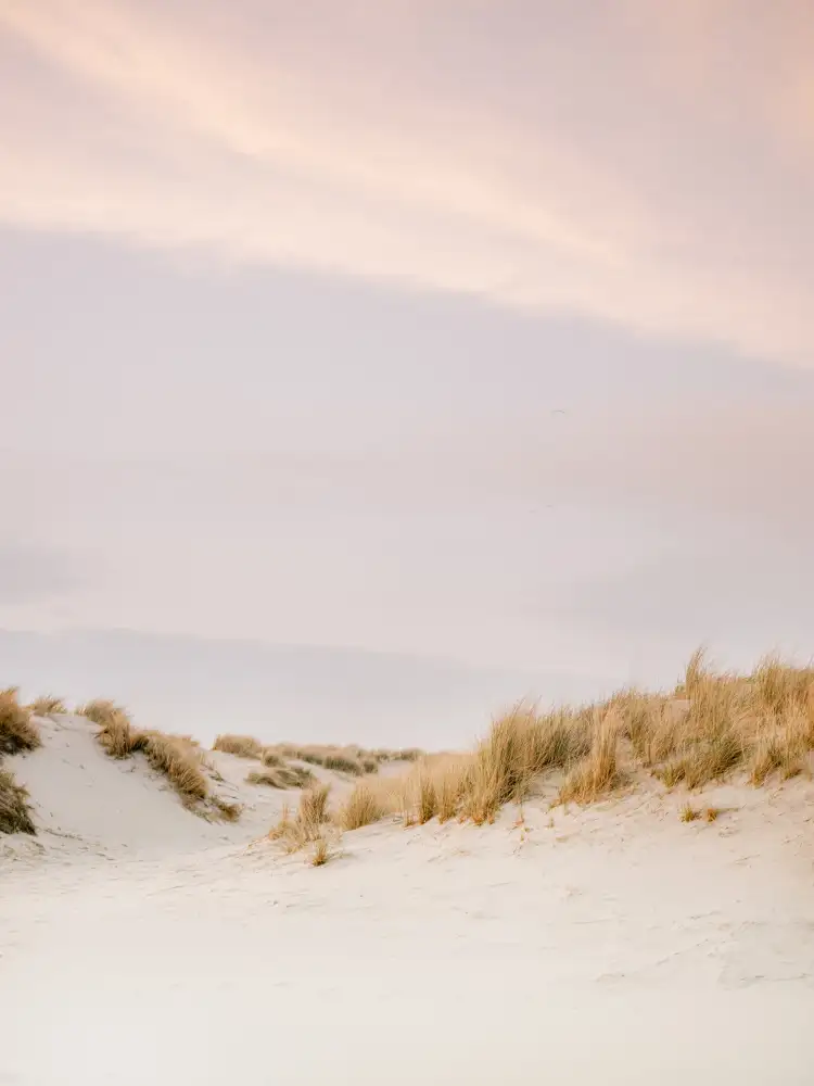 Zwart, Raisa: Ameland Dunes 3