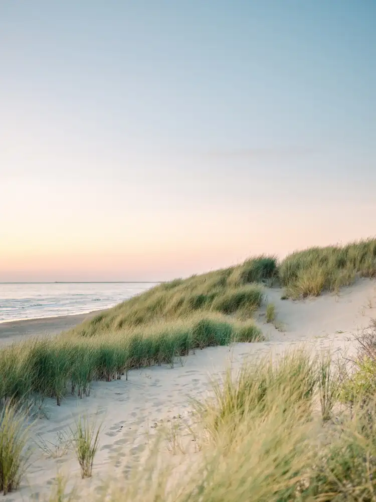 Zwart, Raisa: Dutch Dunes