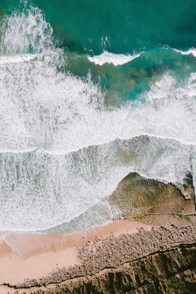 Zwart, Raisa: Waves