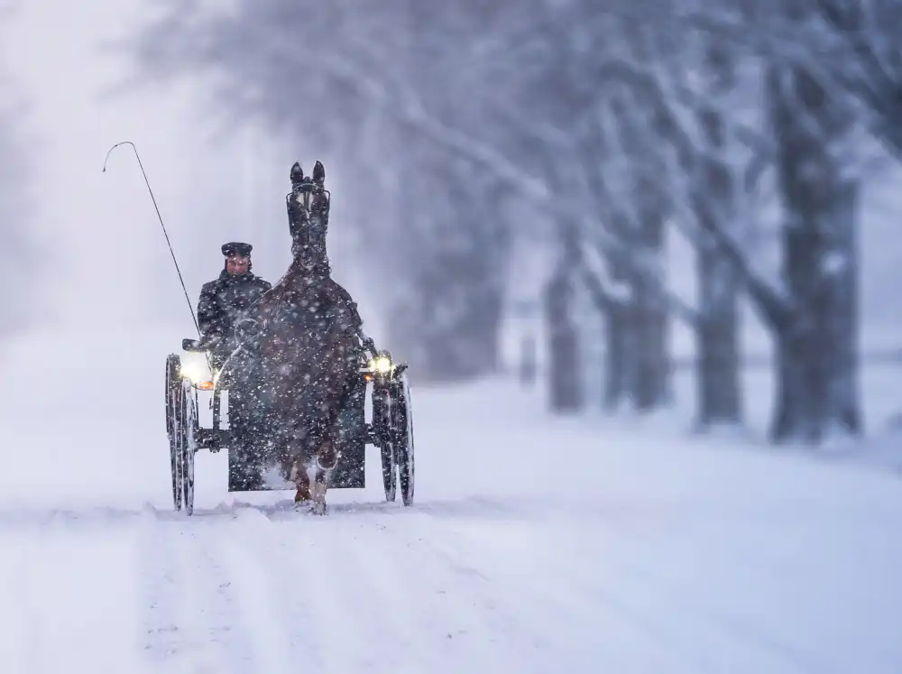 Chavali, Raghuvamsh: A Coachman in the Snow