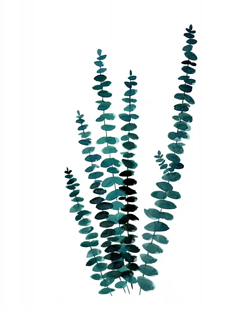 Blursbyai, Laiz Rosana: Eucalyptus aquarelle sarcelle I