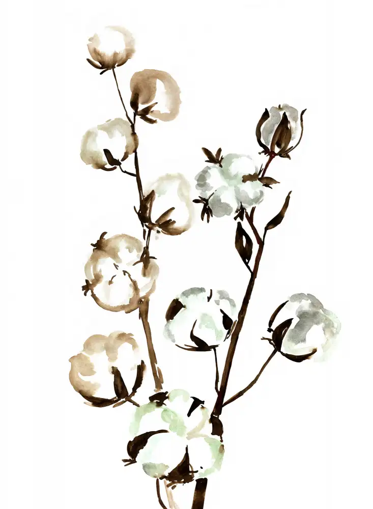 Blursbyai, Laiz Rosana: Aquarell Baumwollzweig II