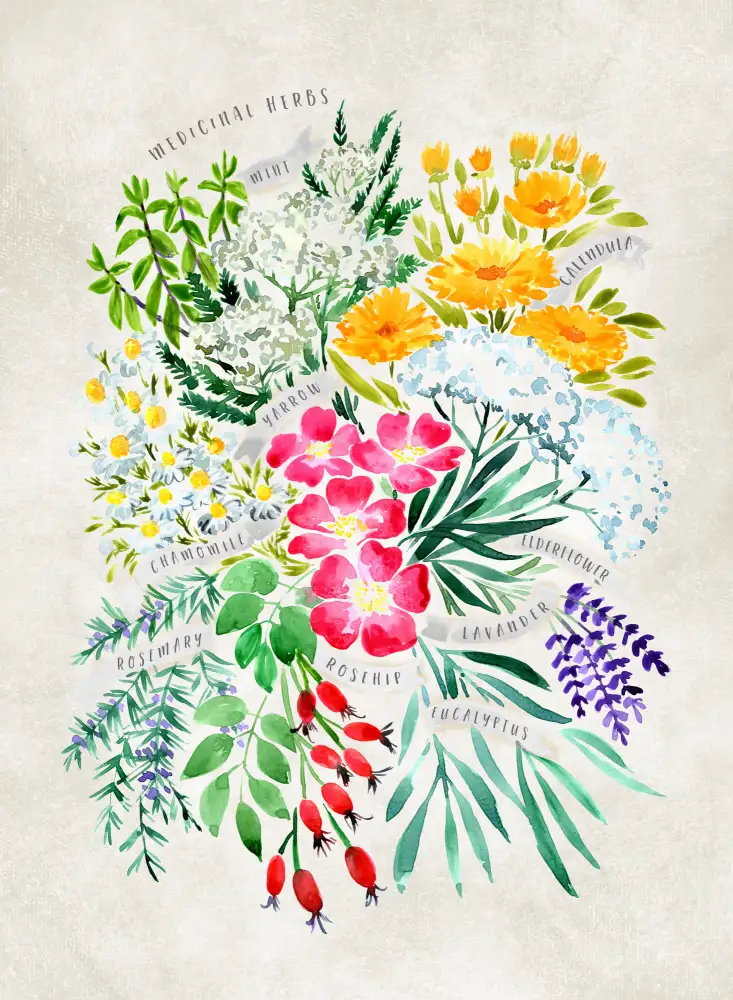 Blursbyai, Laiz Rosana: Herbes médicinales en gris vintage