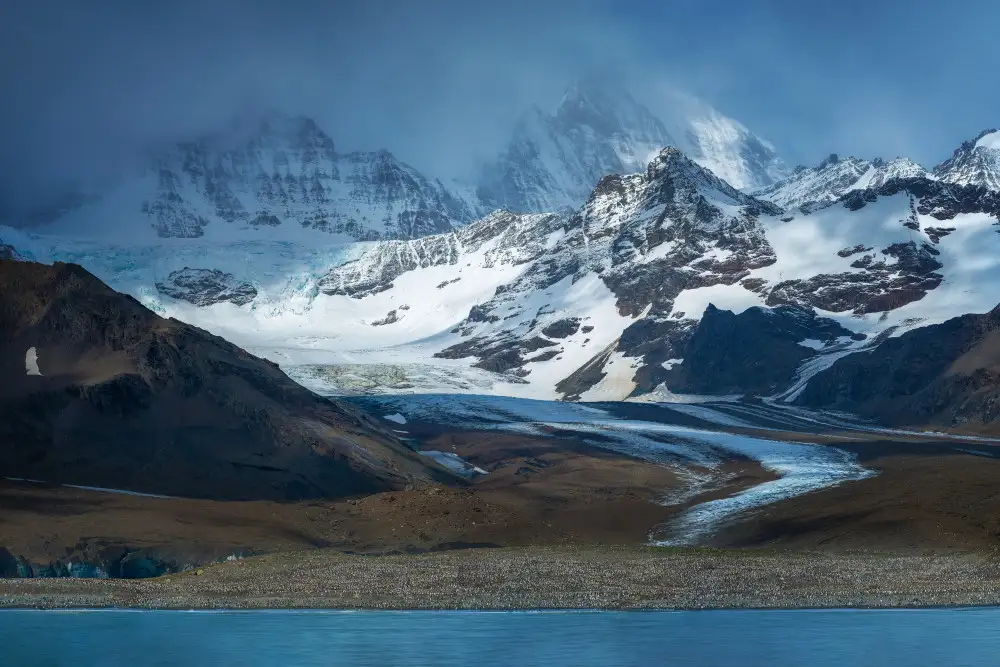 Xu, Mei: King Penguin Colony in South Georgia Island