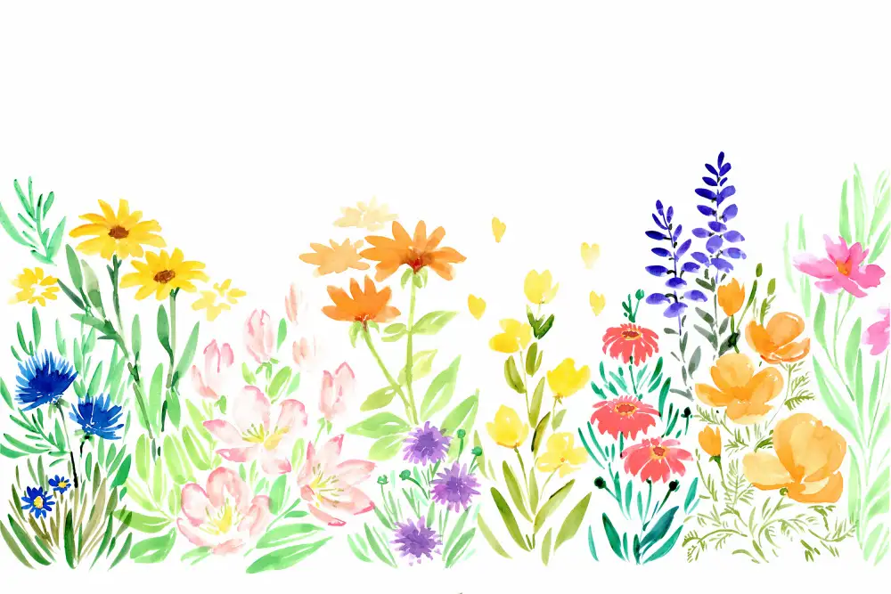 Blursbyai, Laiz Rosana: Aquarell-Wildblumen
