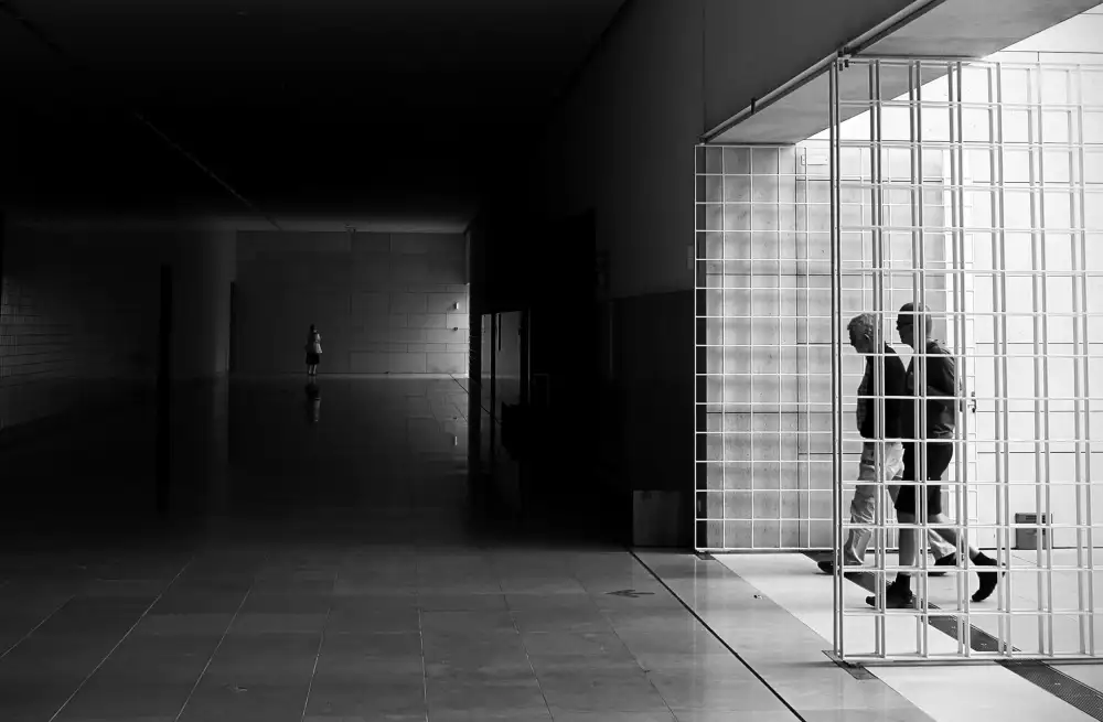 Alves, Fernando: Light and Shadow