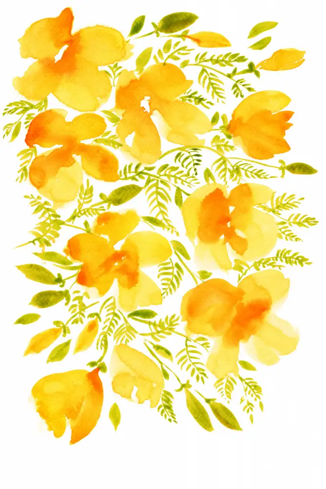 Blursbyai, Laiz Rosana: Aquarelle coquelicots de Californie quad 4