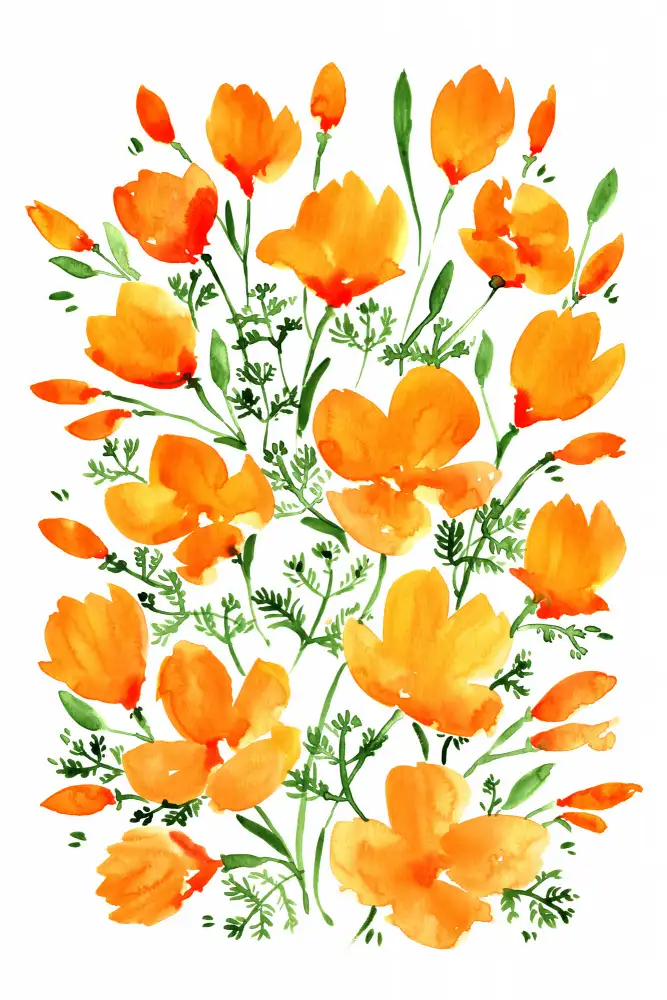 Blursbyai, Laiz Rosana: Aquarell kalifornische Mohnblumen