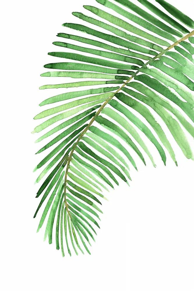 Blursbyai, Laiz Rosana: Palmblatt in loser Aquarellfarbe