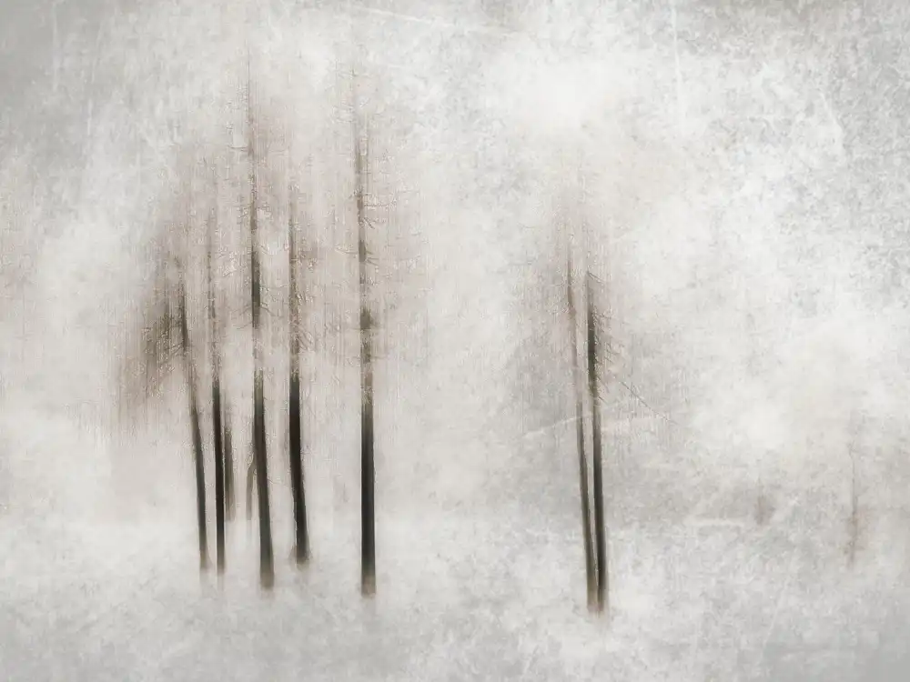 Manini, Filippo: Winter ghosts