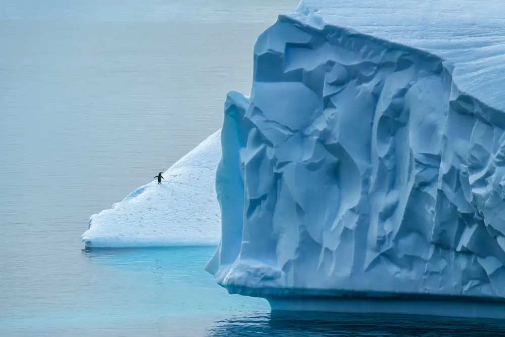 Xu, Mei: Lost in Antarctica