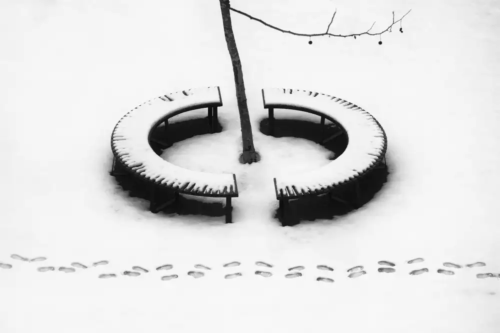 Cinteza, Marius: Bucharest, January 2023
