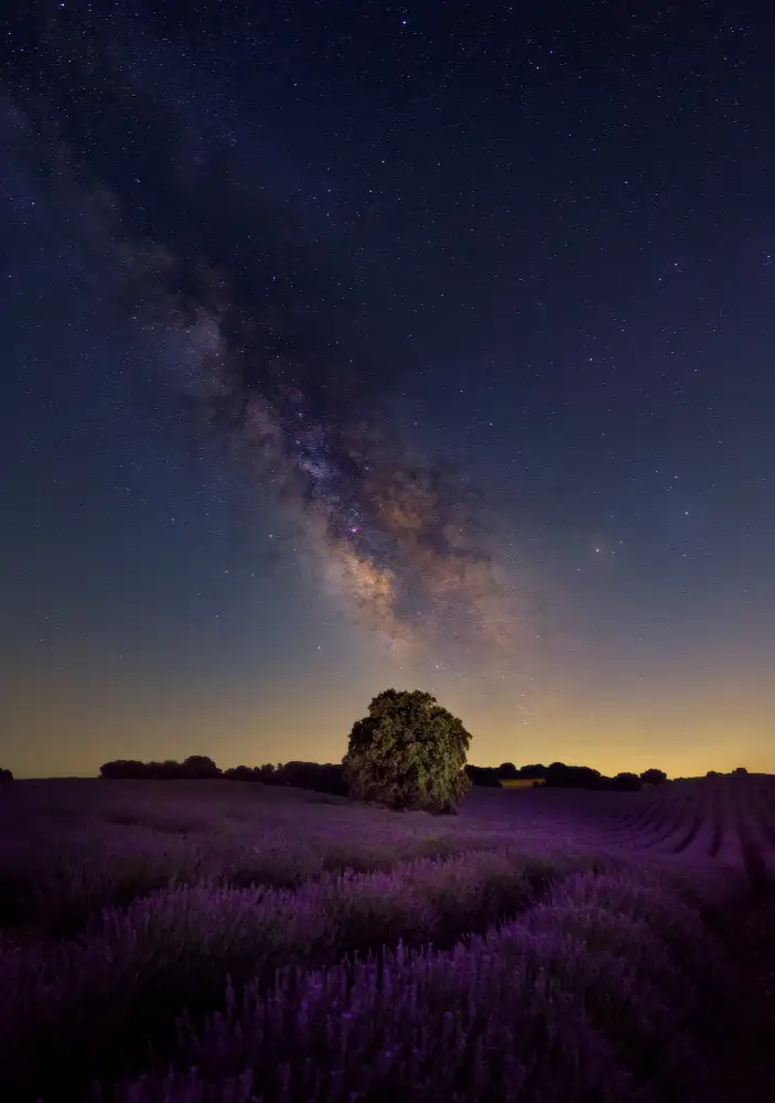 Martínez, Hernández Carlos: Milky Way dreams