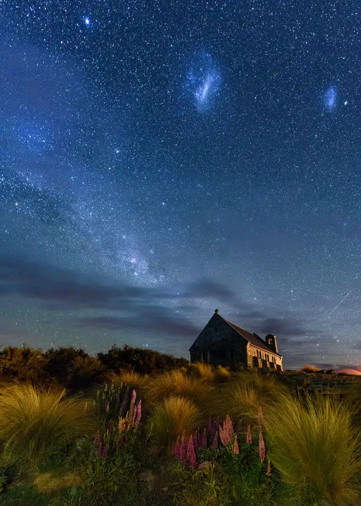 Yu, Zhen James: Lupins Milkway of Lake Tekapo