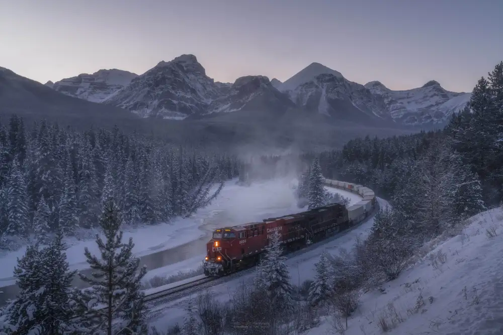 Zhang, Steve: The Train in Snow.