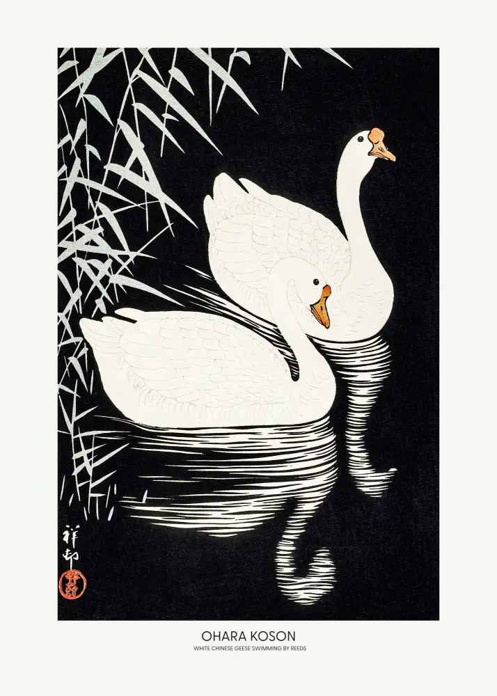 Koson, Ohara: White Chinese Geese Swimming by Reeds