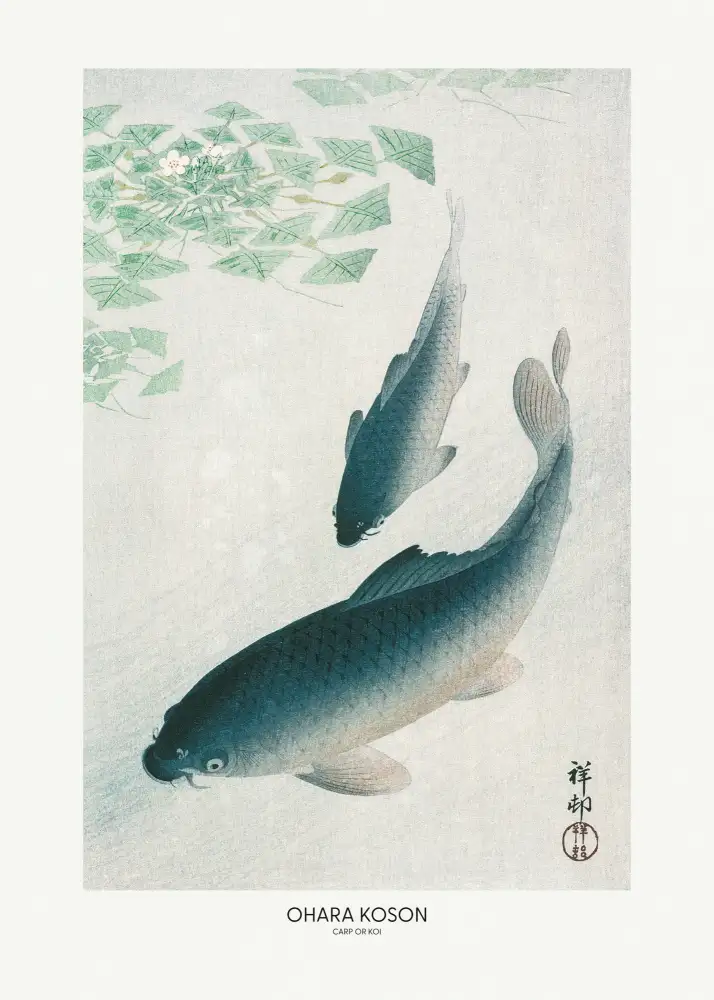Koson, Ohara: Carp Or Koi