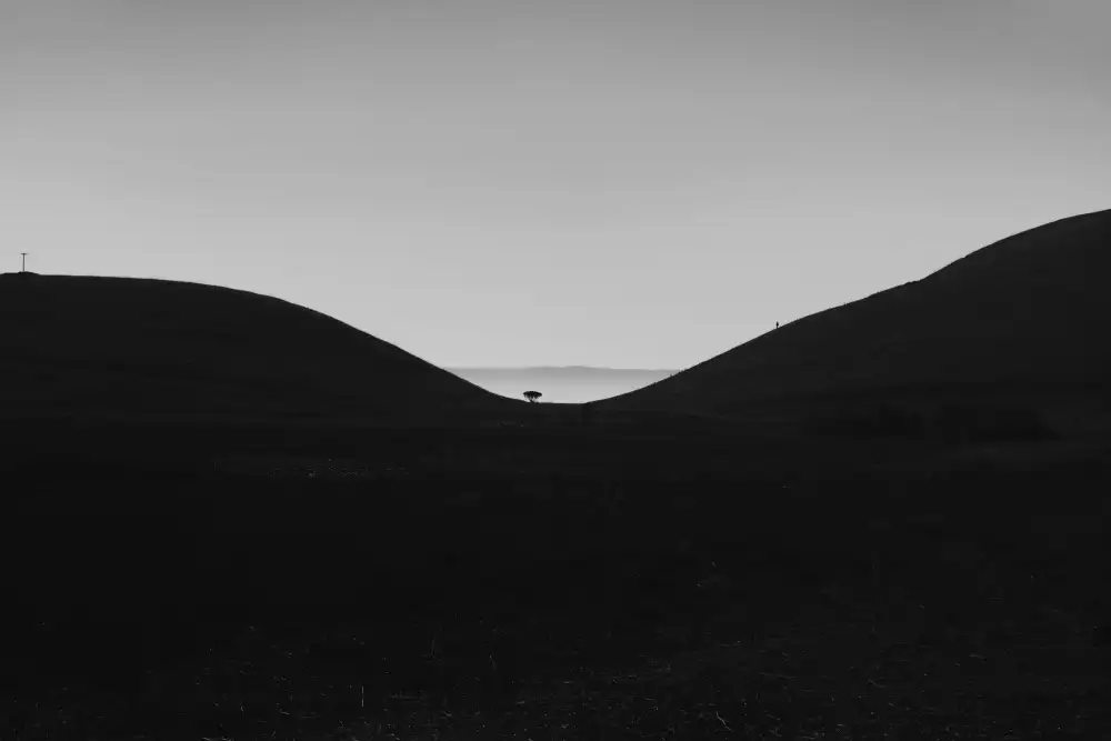 Liu, Yi: Coyote Hills Sunset