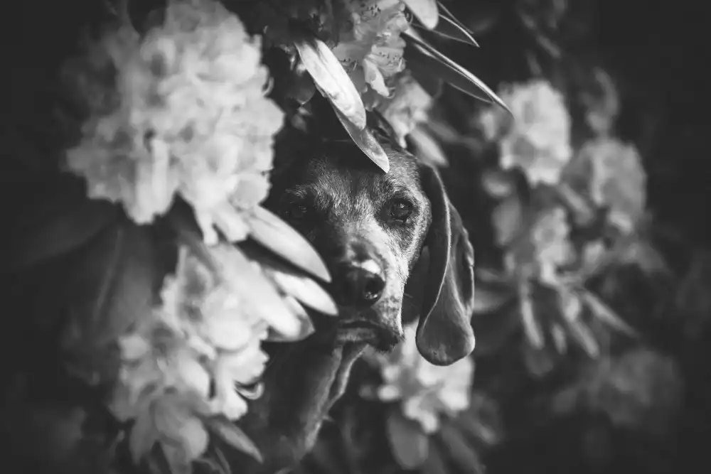 Willers, Heike: TIMELESS