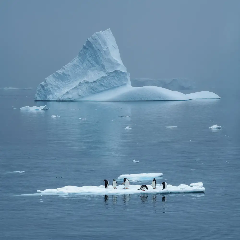 Xu, Mei: Daily Life in Antarctica