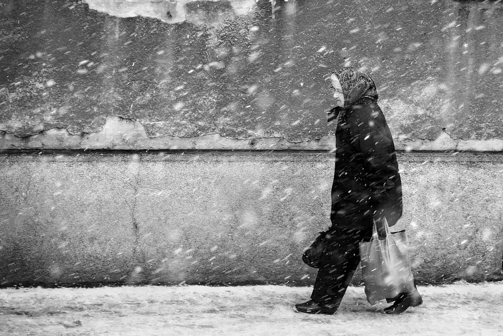 Gabor, Nicoleta: winter passengers