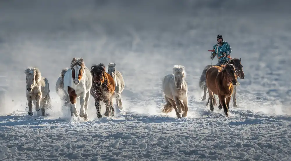 Wu, Irene: Caballos al galope en campo nevado