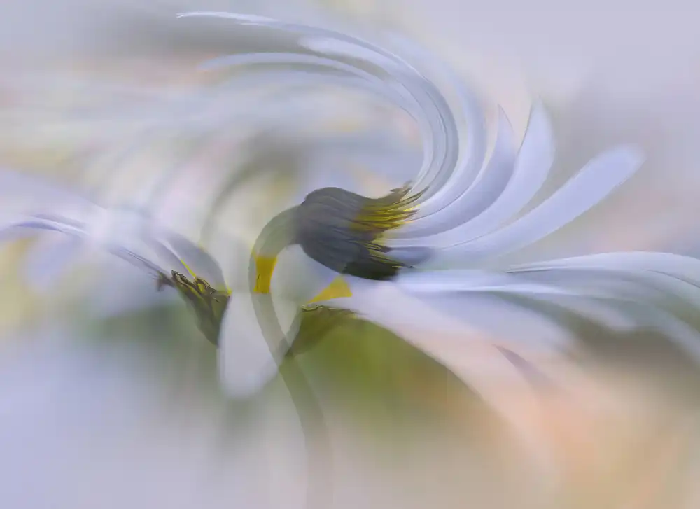 Ylva, Sjögren: In motion.