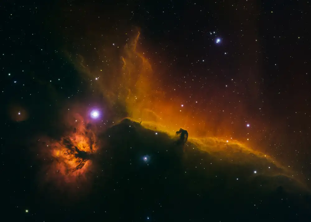 Fong, Ken: The Horsehead and Flame Nebulae