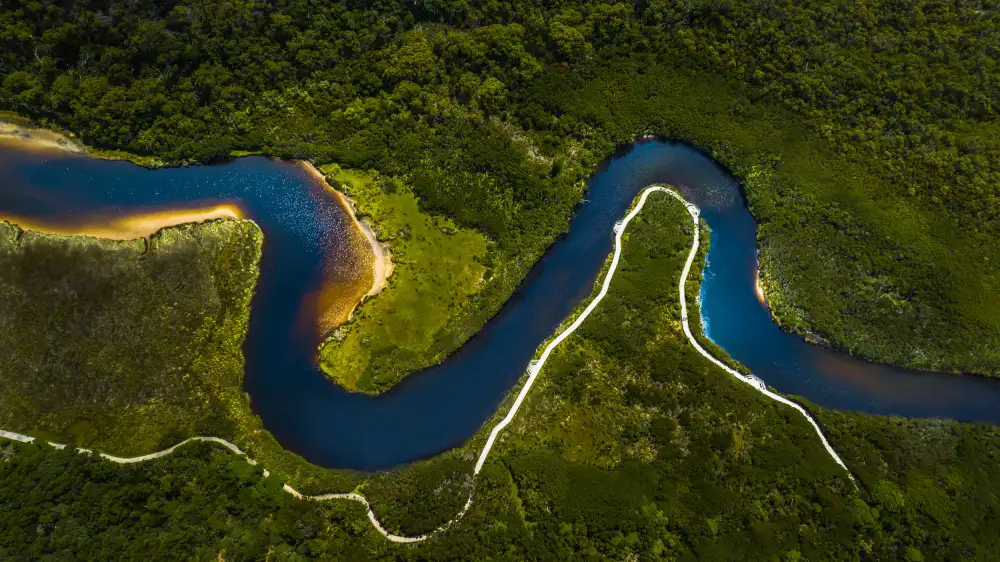 Wu, Irene: Tidal River