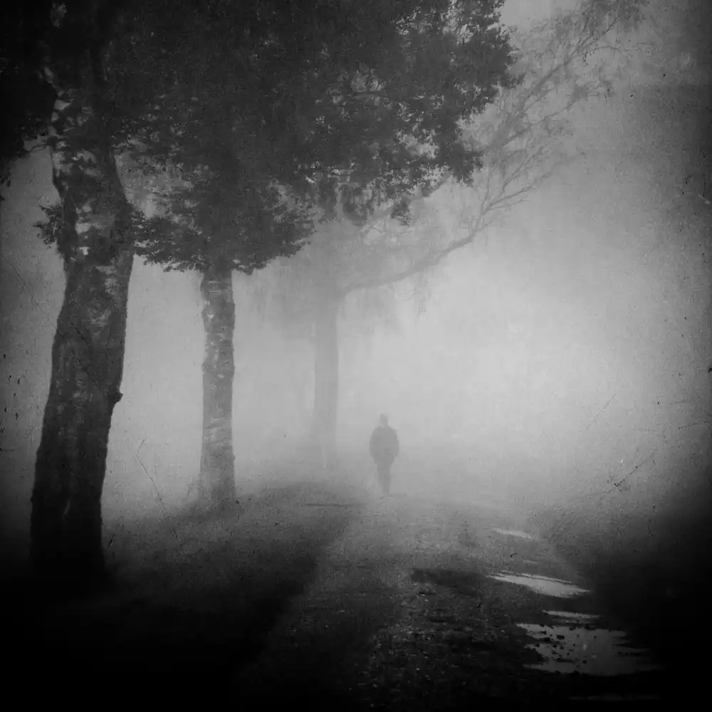 Wasinger, Renate: Partire
