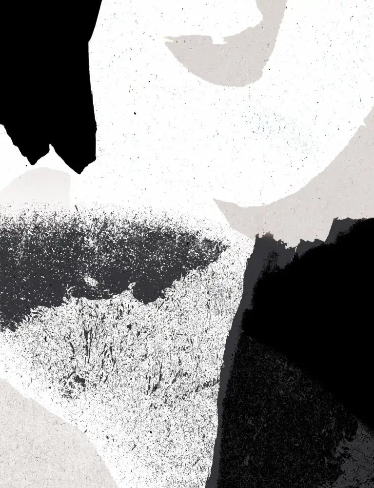 Demir, Aylin: Black and White