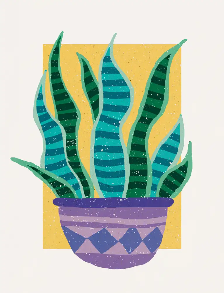Demir, Aylin: Plant in the Sun