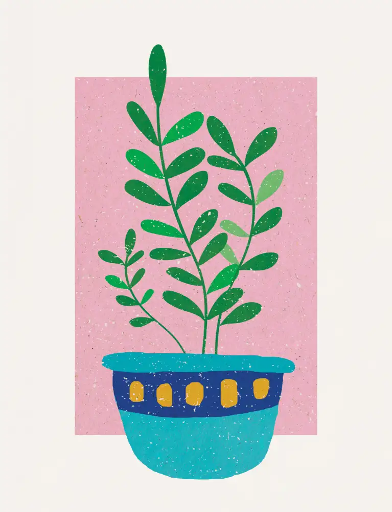 Demir, Aylin: Plant in Sunset