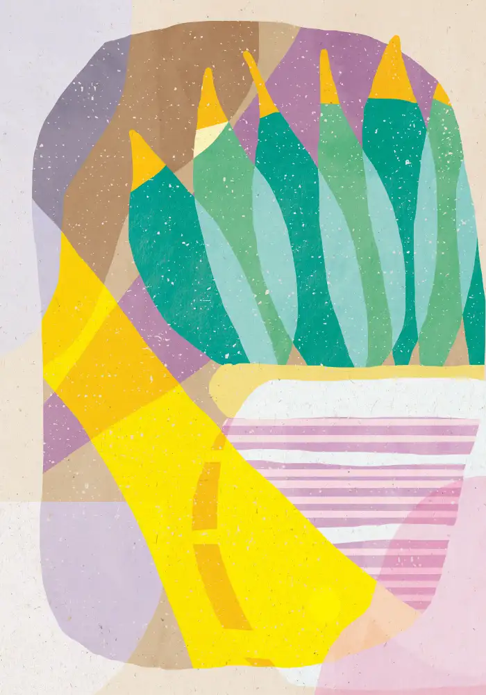 Demir, Aylin: Plant in the Sun