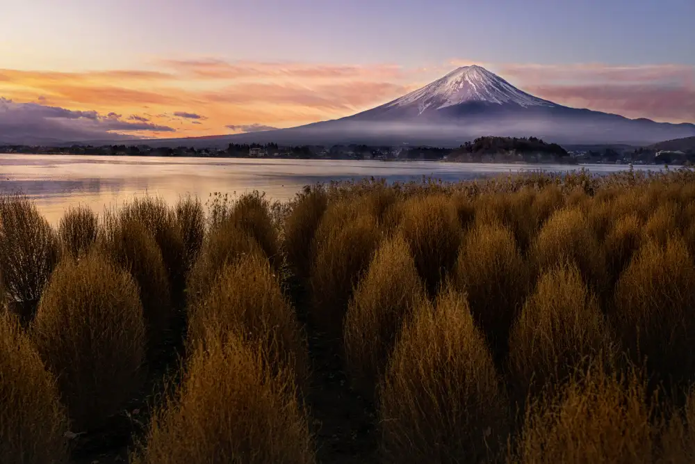 Tang, D. Lisa: Mount Fuji at Morning