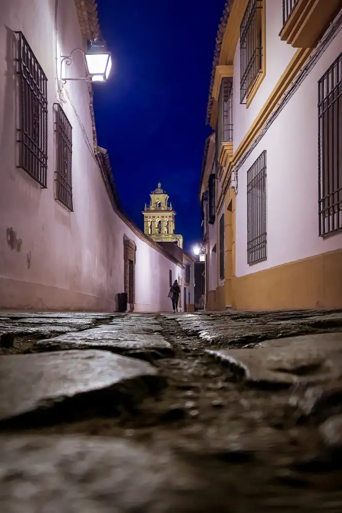 Seco, Luis Juan: Soñando caminos...