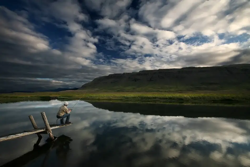 Ingibergsson, Bragi: Fish story