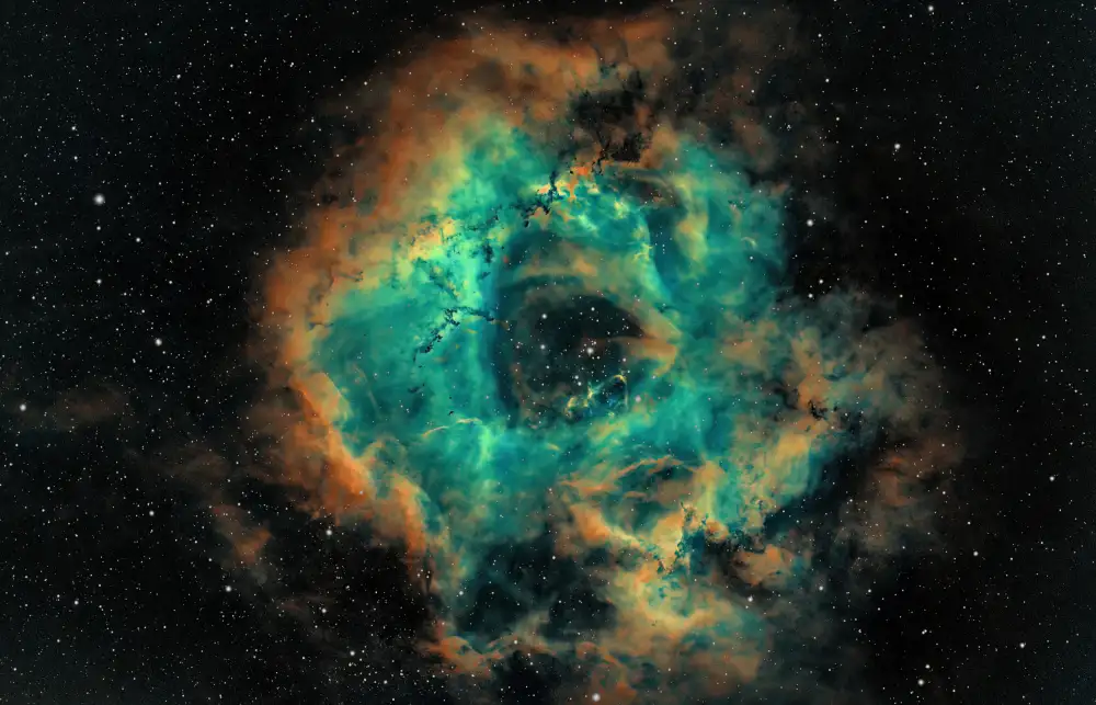 TaranSohal: The Rosette
