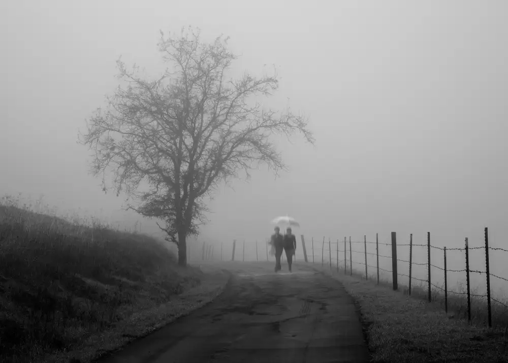 Woo, Shin Ryu: Foggy Road