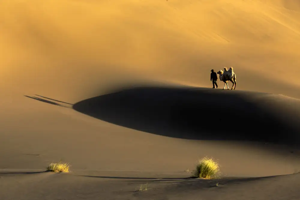 Widjaja, Sally: Gelber Sand