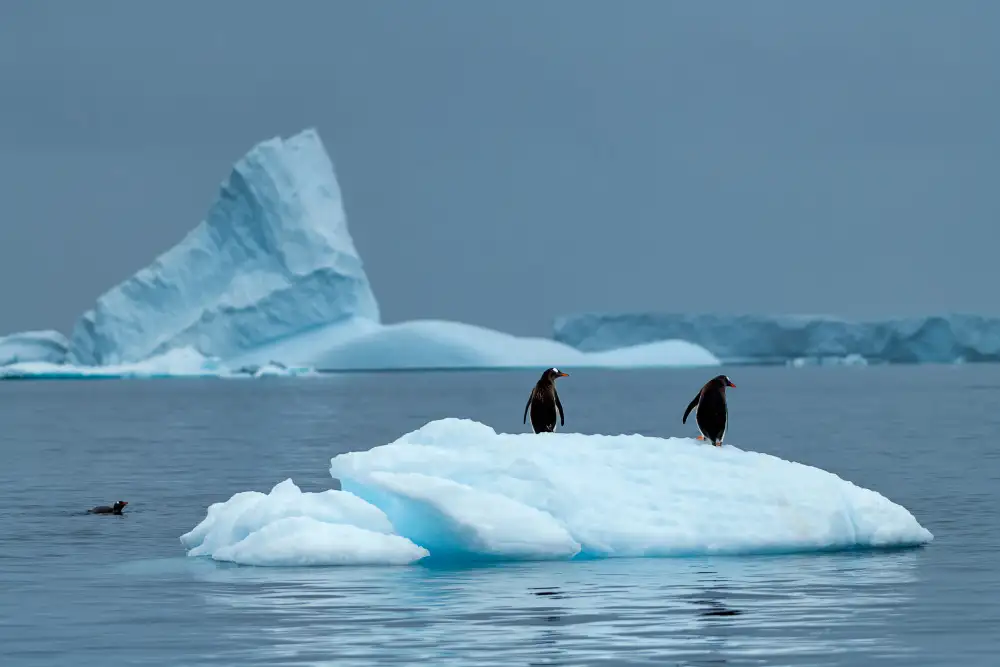 Xu, Mei: Transportation in Antarctica