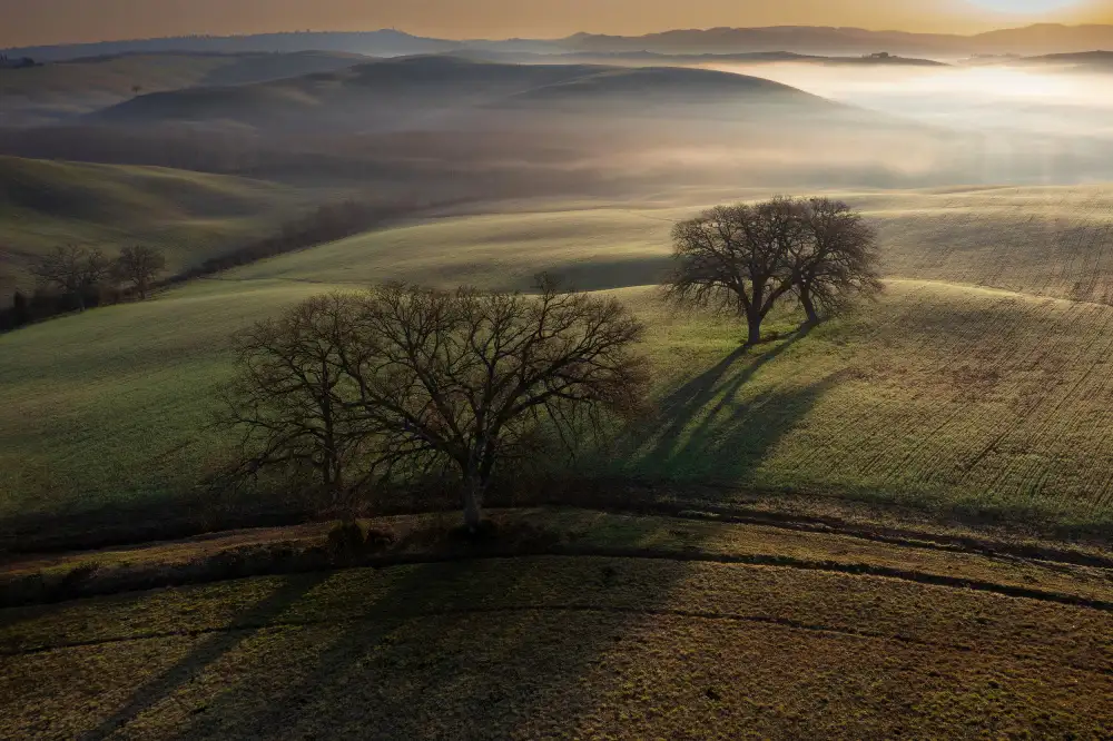 Kravanja, Jure: Mattinata toscana