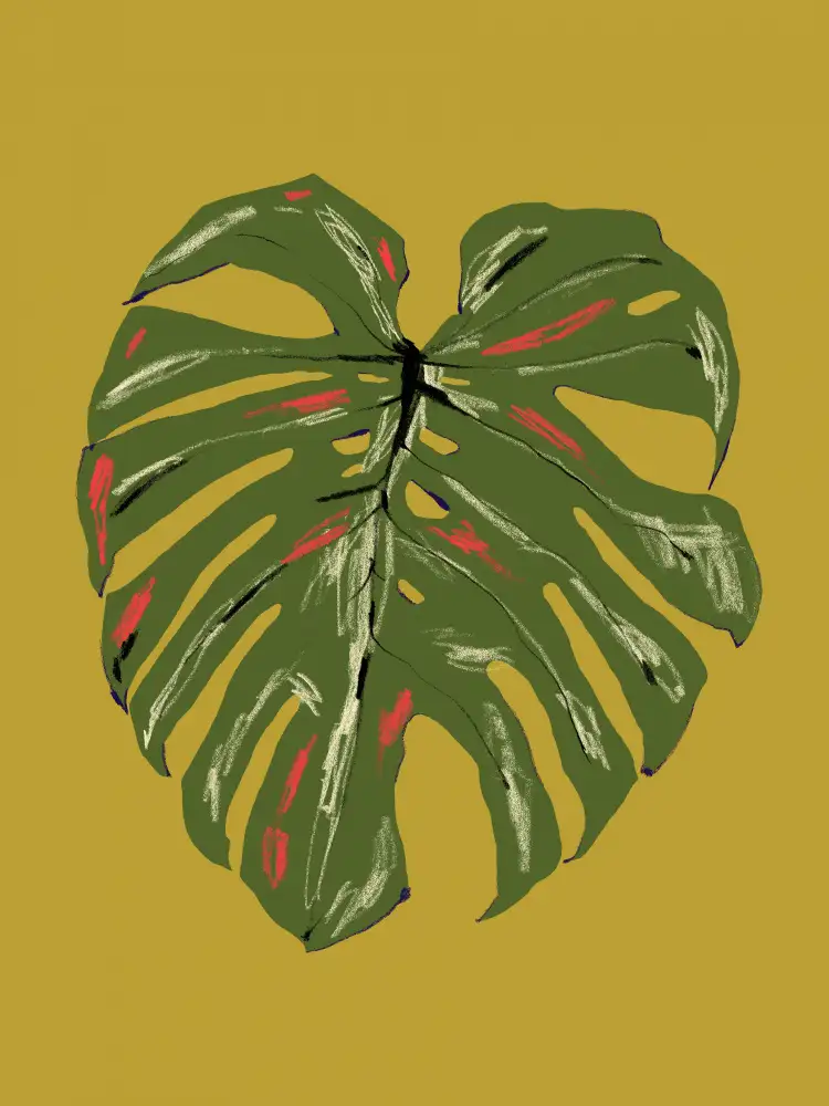 Gulina, Francesco: Monstera Leaf Green