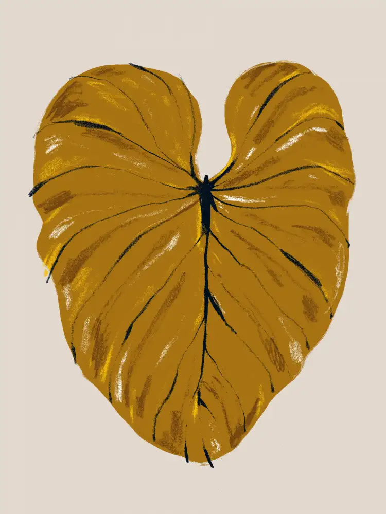 Gulina, Francesco: Philodendron Gloriosum Mustard