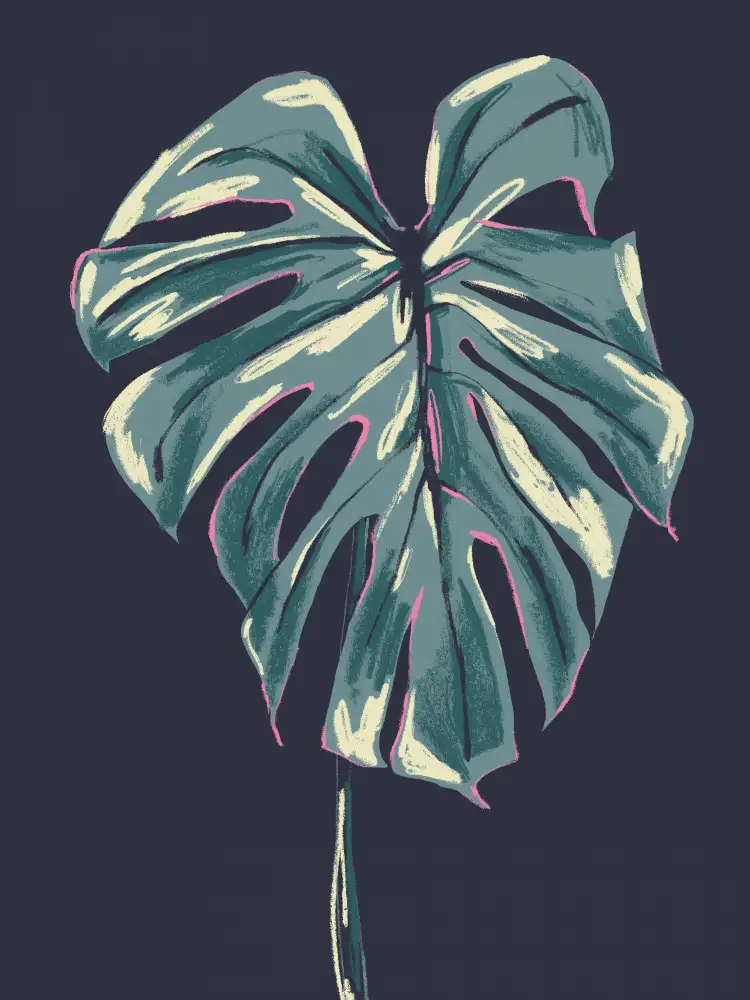 Gulina, Francesco: Monstera Deliciosa Dark