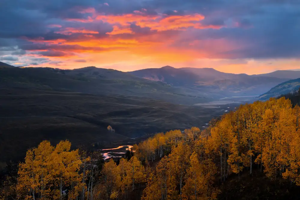 Fan, John: Valley of Dreams