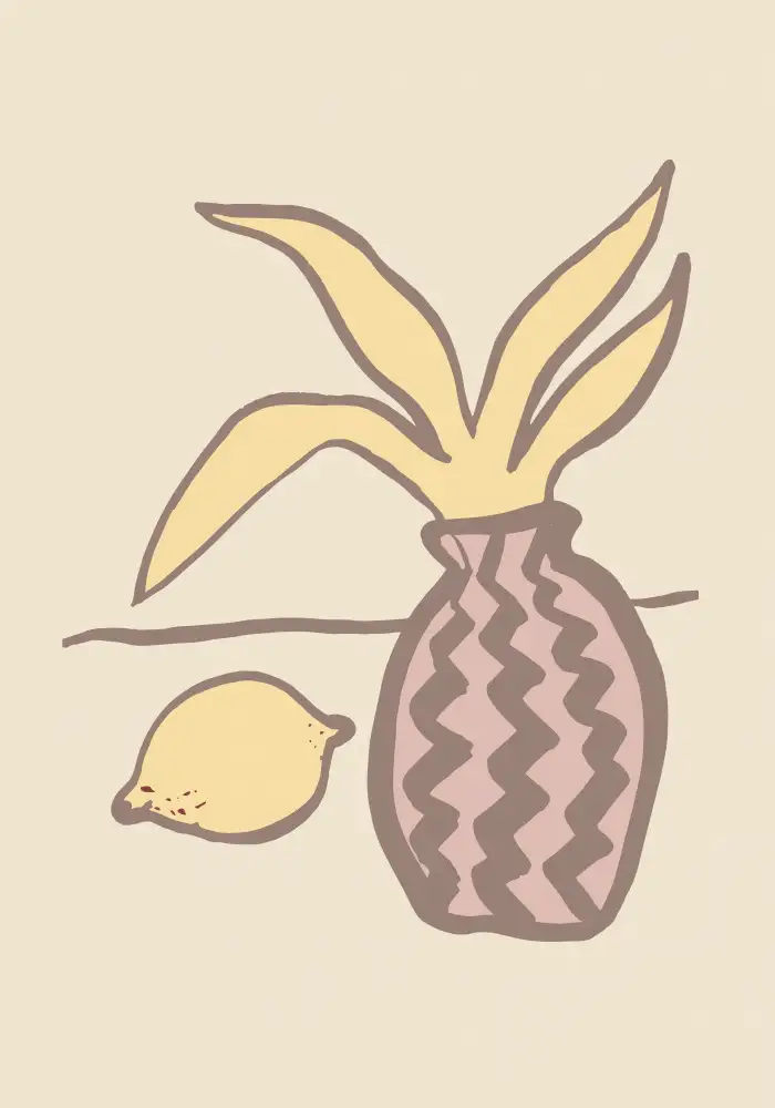 Studio, Pictufy: Limon