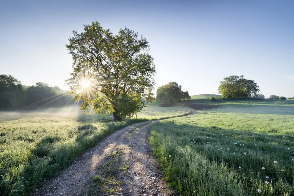 Hefele, Stefan: Spring Path