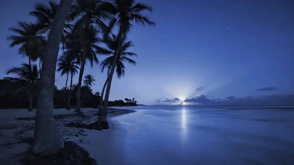 Hefele, Stefan: Tropical Moonrise